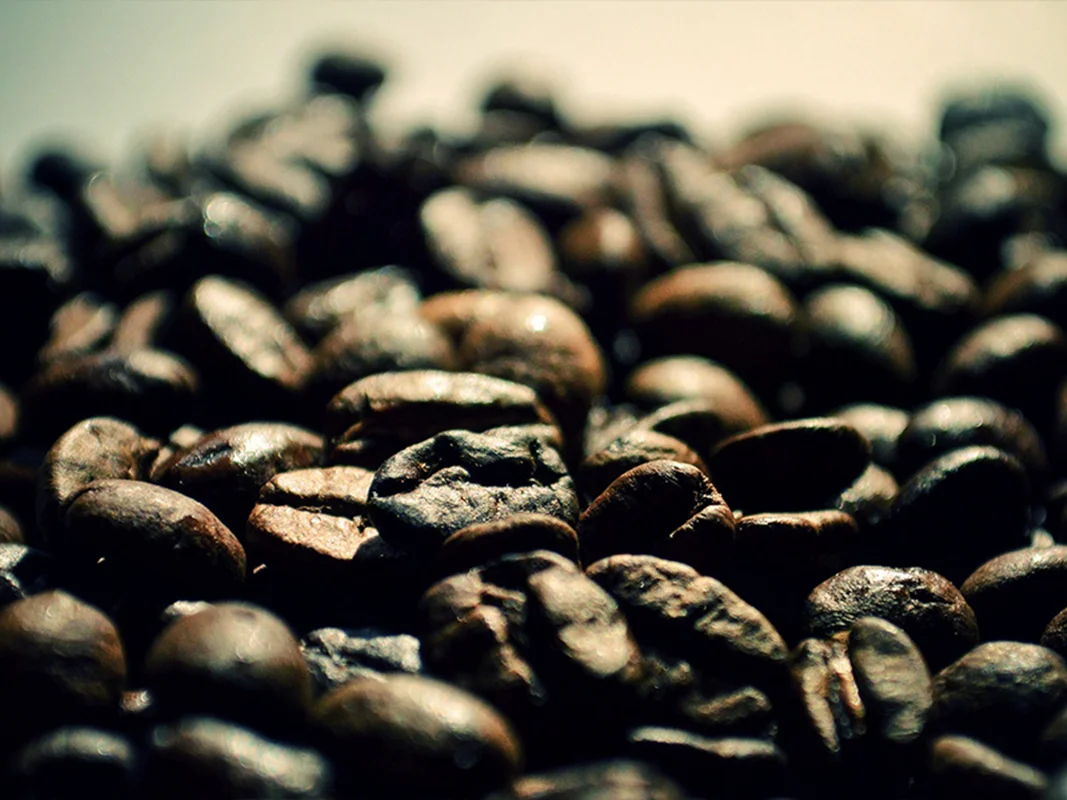 دان قهوه رست شده (100٪ عربیکا) - Coffee Beans