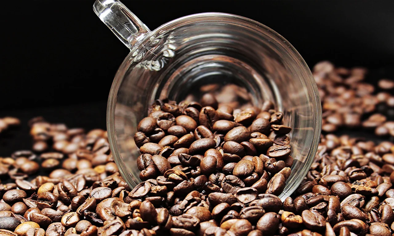 دان قهوه رست شده (100٪ روبوستا) - Coffee Beans