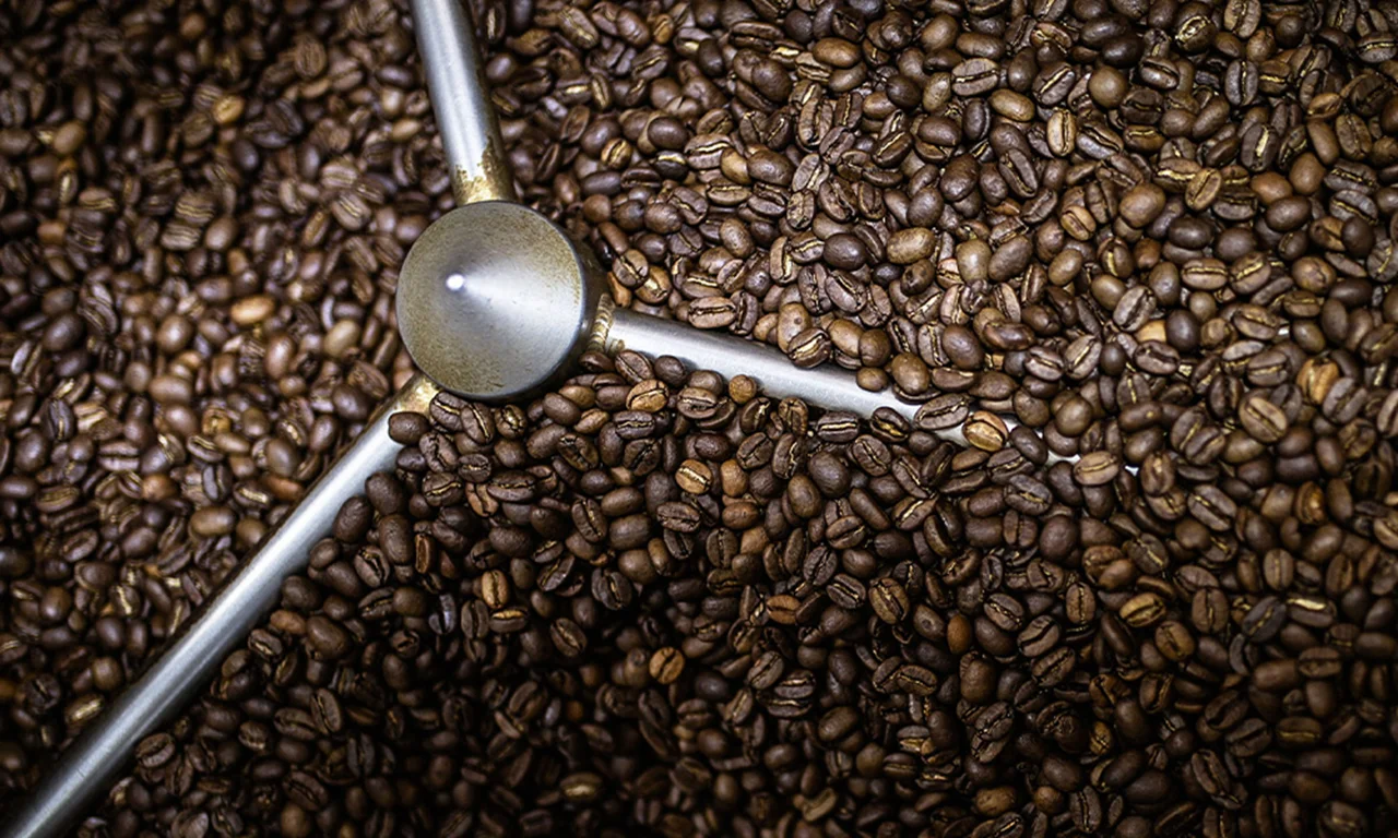دان قهوه رست شده (۸۰٪ عربیکا و ۲۰٪ ربوستا) - Coffee Beans