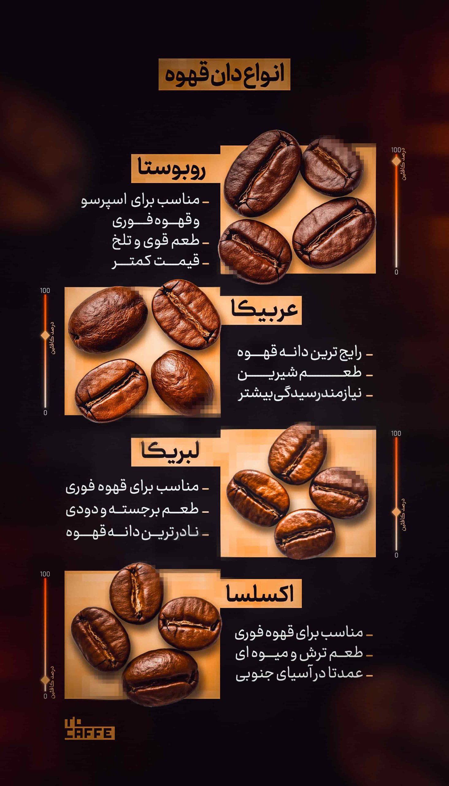 معرفی انواع دانه قهوه به صورت کامل