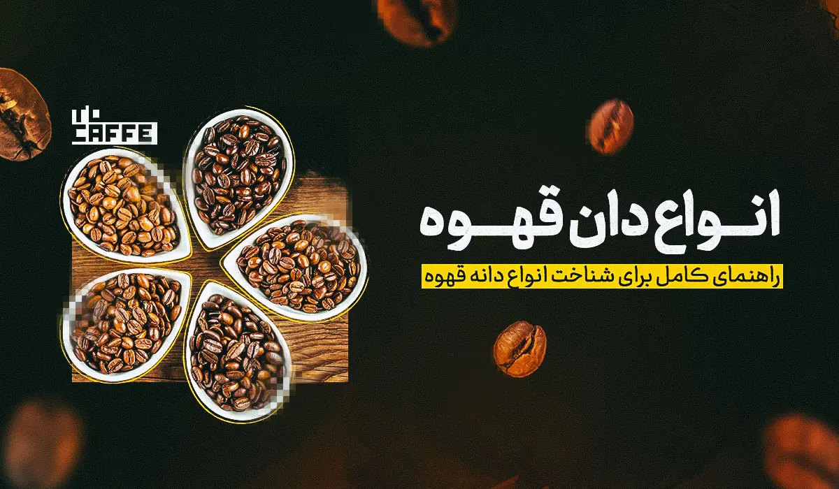 معرفی کامل انواع دان قهوه
