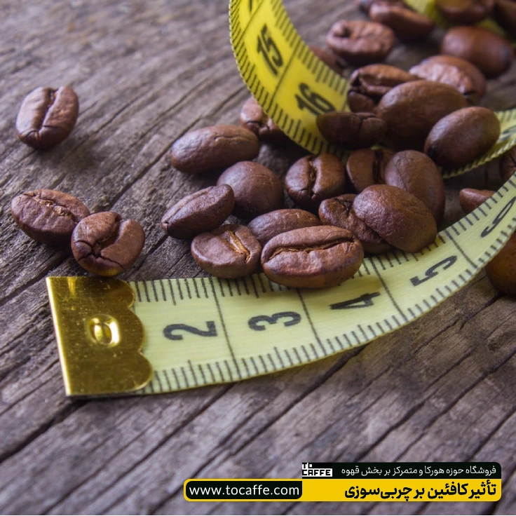 دانههای قهوه در کنار یک متر اندازه گیری