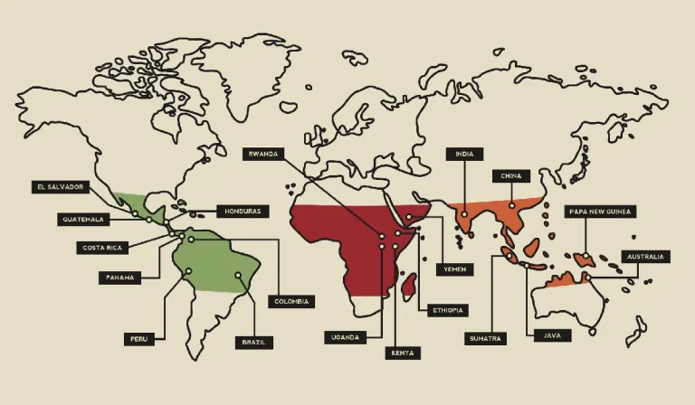 معرفی برترین کشور های تولید کننده قهوه روبوستا