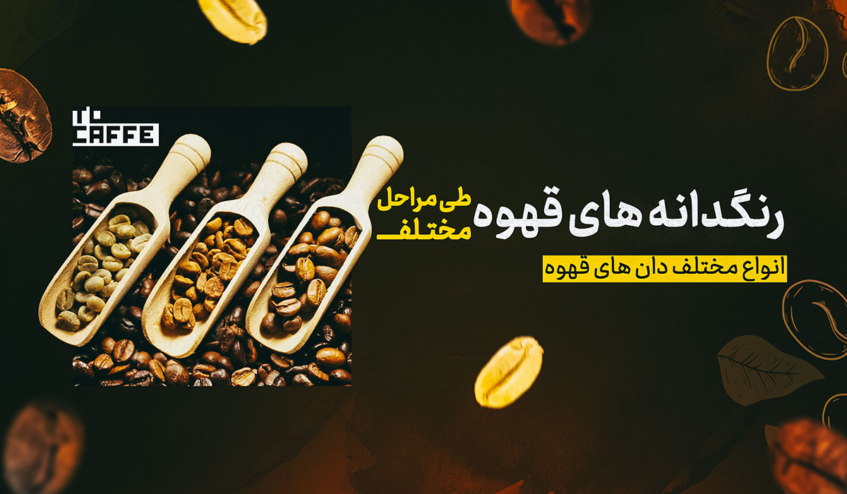 رنگدانه‌های قهوه در هر مرحله از فرآیند تولید | راهنمای کامل
