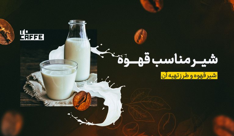شیر مناسب قهوه: بهترین گزینه‌ها برای طعم دلپذیر