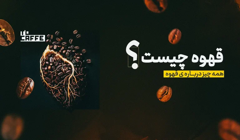 قهوه چیست؟ همه چیز درباره انواع، فواید و تاریخچه این نوشیدنی محبوب