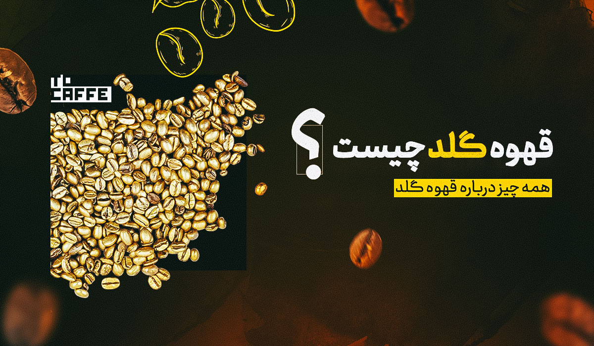 قهوه گلد چیست؟ معرفی و بررسی ویژگی‌ها و مزایای آن