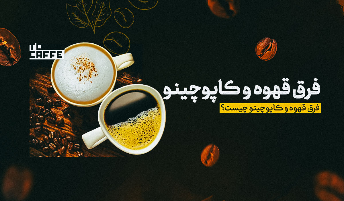 تفاوت قهوه و کاپوچینو در چیست؟ (کدام کافئین کمتری دارد؟)