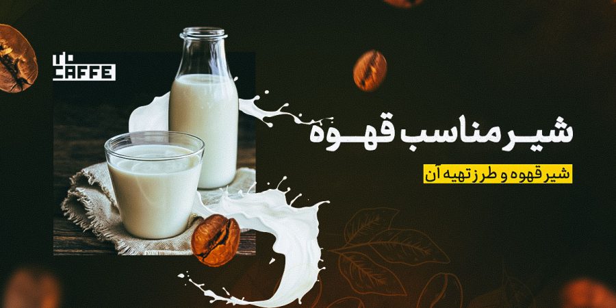 شیر مناسب قهوه: بهترین گزینه‌ها برای طعم دلپذیر