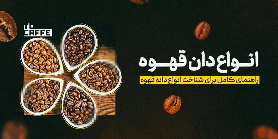 معرفی کامل انواع دان قهوه