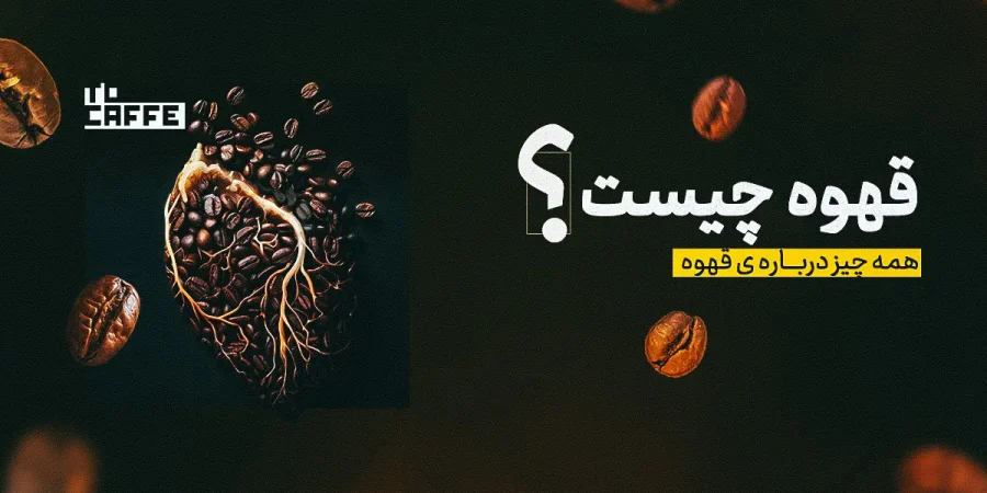 قهوه چیست؟ همه چیز درباره انواع، فواید و تاریخچه این نوشیدنی محبوب