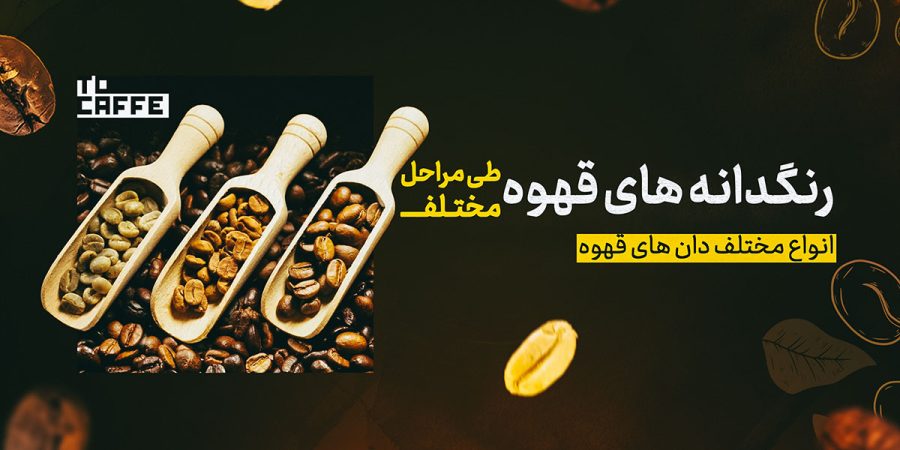 رنگدانه‌های قهوه در هر مرحله از فرآیند تولید | راهنمای کامل